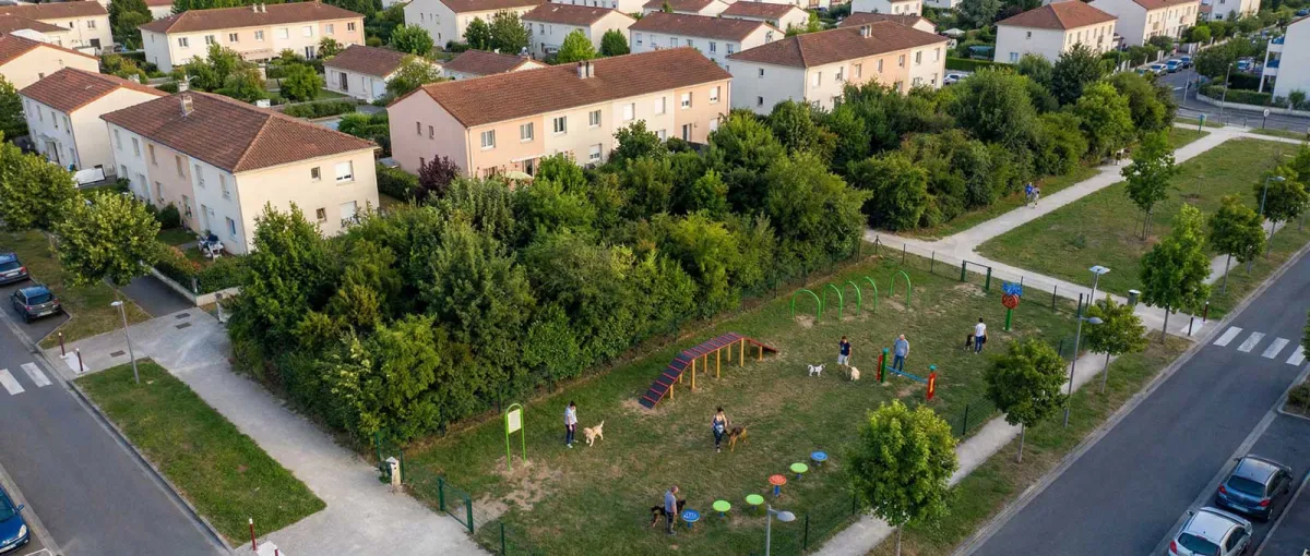 Pourquoi varier les obstacles d'agility en parc chien collectivité.